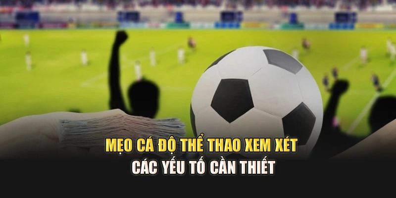 Mẹo cá độ thể thao xem xét các yếu tố cần thiết