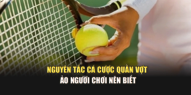 Nguyên tắc cá cược Quần Vợt Ảo người chơi nên biết